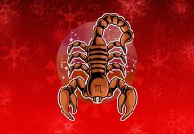 ŠKORPIJA: Ljubavni horoskop od 24. novembra do 1. decembra, zvezde imaju tajni plan!