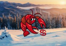 Dnevni horoskop za Raka za ponedeljak, 24. 11. 2025: Saznajte šta vas očekuje!