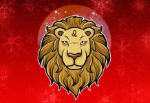 LAV: Ljubavni horoskop od 24. novembra do 1. decembra, zvezde imaju tajni plan!