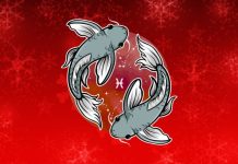 RIBE: Ljubavni horoskop od 24. novembra do 1. decembra, zvezde imaju tajni plan!