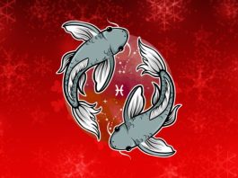 RIBE: Ljubavni horoskop od 24. novembra do 1. decembra, zvezde imaju tajni plan!