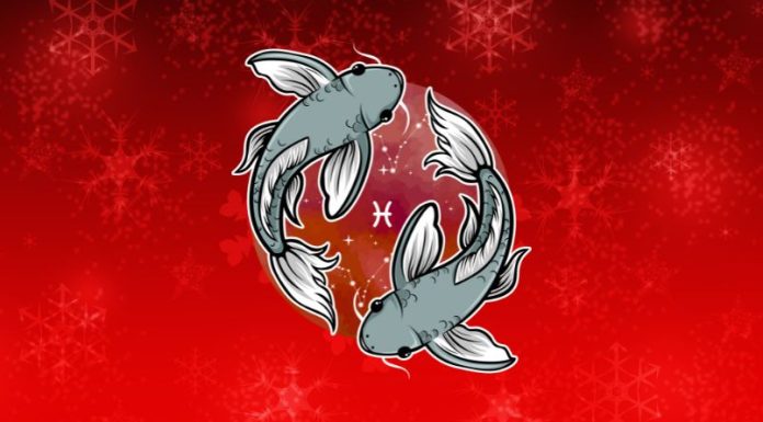 RIBE: Ljubavni horoskop od 24. novembra do 1. decembra, zvezde imaju tajni plan!