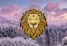 Veliki horoskop za Lava do 30. novembra: Saznaj šta te očekuje!