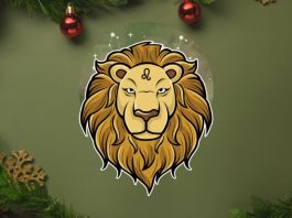 Veliki horoskop za Lava do 31. decembra: Sudbina ima plan za tebe!