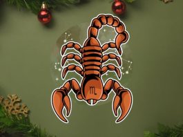 Veliki horoskop za Škorpiju do 31. decembra: Sudbina ima plan za tebe!