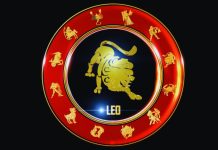 Veliki horoskop do kraja godine za Lava: Saznaj šta te očekuje do 31. Decembra!