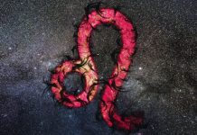 Veliki horoskop do 15. januara za Lava: Saznaj šta te očekuje!