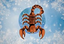 ŠKORPIJA – SUDBINA POKAZUJE SVOJU MOĆ: Planovi se menjaju, a život se okreće naglavačke!