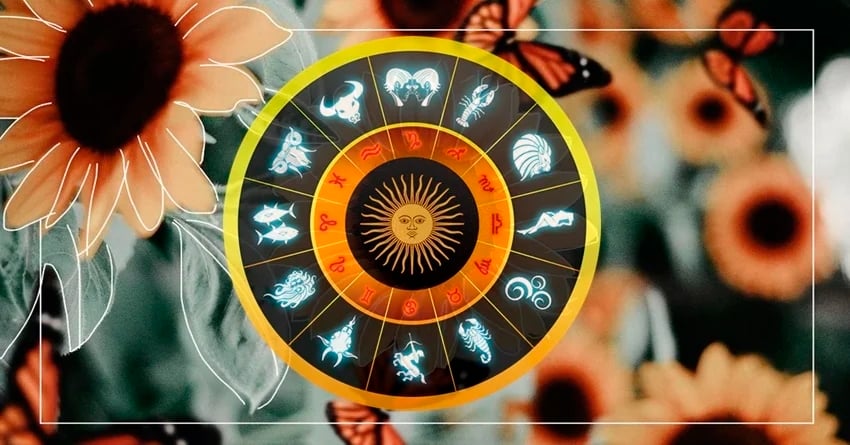 155dde2c-9776-426b-9644-61f925f78571